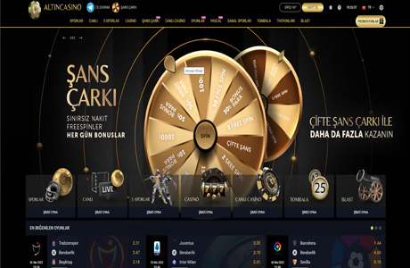 Altın Casino Screenshot